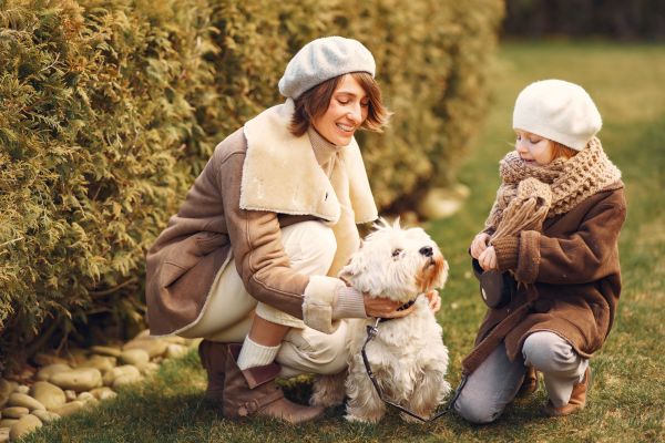Quelles sont les précautions à prendre lorsque je fais rencontrer mon chien à des enfants ?