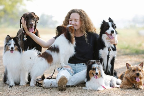 Tout savoir sur les pensions pour chiens